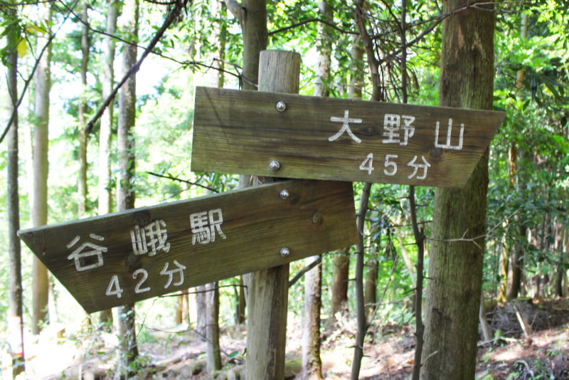 大野山ハイキングコース