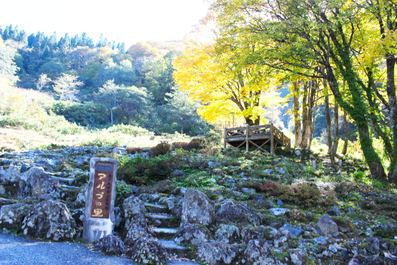 湯沢高原・高山植物園アルプの里ロックガーデン